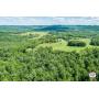 28+/- Acres - Shellotte Loop Rd.