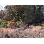 7.12+/- ACRES