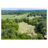 Tract 4 - 41.88+/- Acres