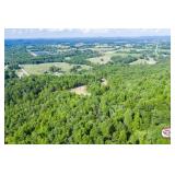 Tract 22 - 11.98+/- Acres