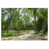 Lot 10 - 0.66+/- Acres