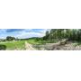 Stunning 136+/- Acres - Big Springs Rd.