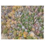 Tract 4 - 0.14+/- Acres