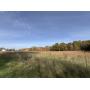 Home & 38+/- Acres - Whittaker Rd.