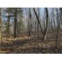 1.77+/- Acres - Choate King Rd.