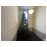 Lighted Christmas Tree