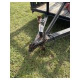Dual axle trailer