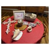 Seashell Collection