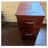 2 - Drawer File Cabinet & File Holders