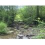 578+/- Ac Sportman's Paradise Off of Luther Shepard Rd