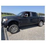 2012 Ford  F150  Truck
