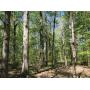 Prime 90+/- Ac, Home, Creek Frontage, Timber