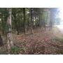 49+/- ACRES IN 3 TRACTS