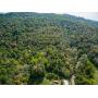 22.84 Wooded Acres