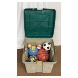 Assorted Balls in Tote
