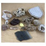 Assorted Geodes, Shells, etc
