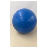 Sport Fun Exercise Ball