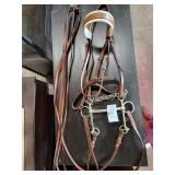 English Bridle and Show Halter