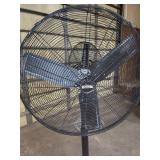 Floor Fan 5 FT