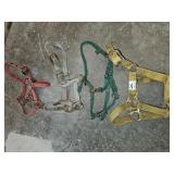 4 Colt Halters
