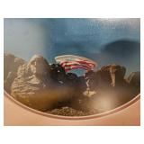 Mt Rushmore Framed Photo 12x15