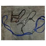 2 Halters & A Bridle -Large
