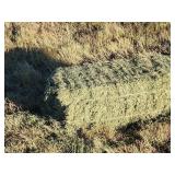 Small Square bales 2026 grass/alfalfa