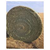 Round Bales of hay (5)