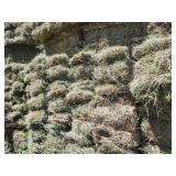 50 bales of 2026 grass/alfalfa