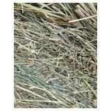 Round bales of hay