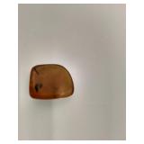 beetle in amber