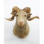 May 7th Online Consignment Auction