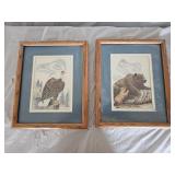 Sue Coleman Eagle and Bear Art Prints