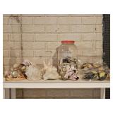 Assortment of Seashells