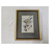 Vintage Cash Great Tit Bird Jacquard Loom Art