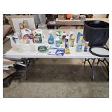 Cleaning Supplies and Bug Killer
