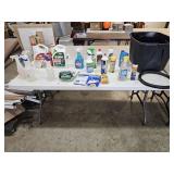 Cleaning Supplies and Bug Killer