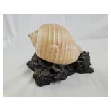 Makelina of Hawaii Tonna Shell Lava Art