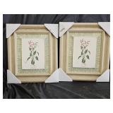 2 Sorrel Art in Motion Botanical Prints