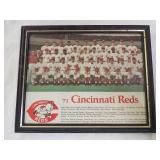 1971 Cincinnati Reds MLB Team Photo
