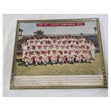 1972 St. Louis Cardinals MLB Sports Team Photo