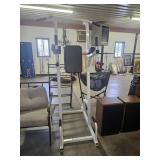 Vertical Knee Raise w/Dip & Pull-up Station Equip.