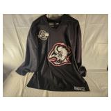 Autographed Buffalo Sabres Hockey Practice Jersey