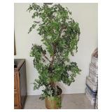 66" Faux Tree with Brass Planter