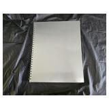 Madonna Risque Metal Book