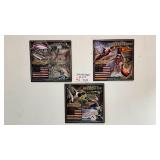 American Expedition Wildlife Metal Signs