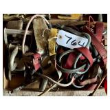 Lot of Bungee Cables & Ratchet Straps