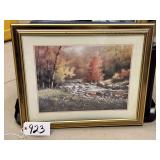 Scenic Stream Portrait