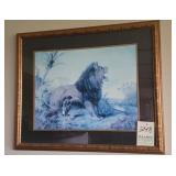 Framedv Lion Print