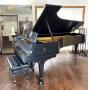 1961 Steinway & Sons Grand Concert Piano